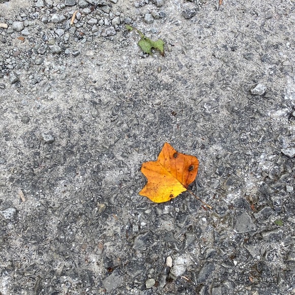 PROUD FORMER ARMY WIFE - Picture 4 of 6